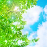 ※決定！本当に最後の追加日程です♪