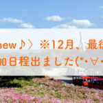 ＜new♪＞※12月、最後の追加日程でました(*･∀･)／